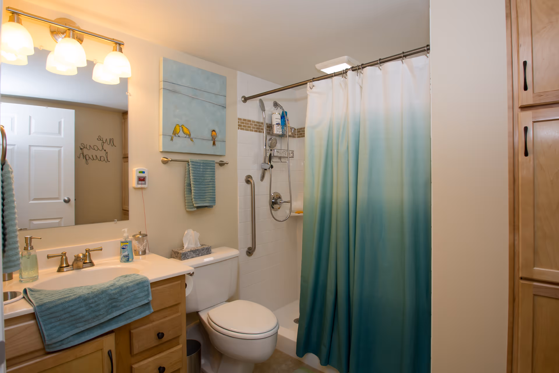A clean and well-lit bathroom featuring a white toilet, a wooden vanity with a sink, and a large mirror above it. The shower area has a white tiled wall with a grab bar and a shower curtain in shades of blue and green. A towel rack with a blue towel and a decorative painting of birds on a wire are mounted on the wall. The bathroom has warm lighting from a fixture with four bulbs above the mirror.