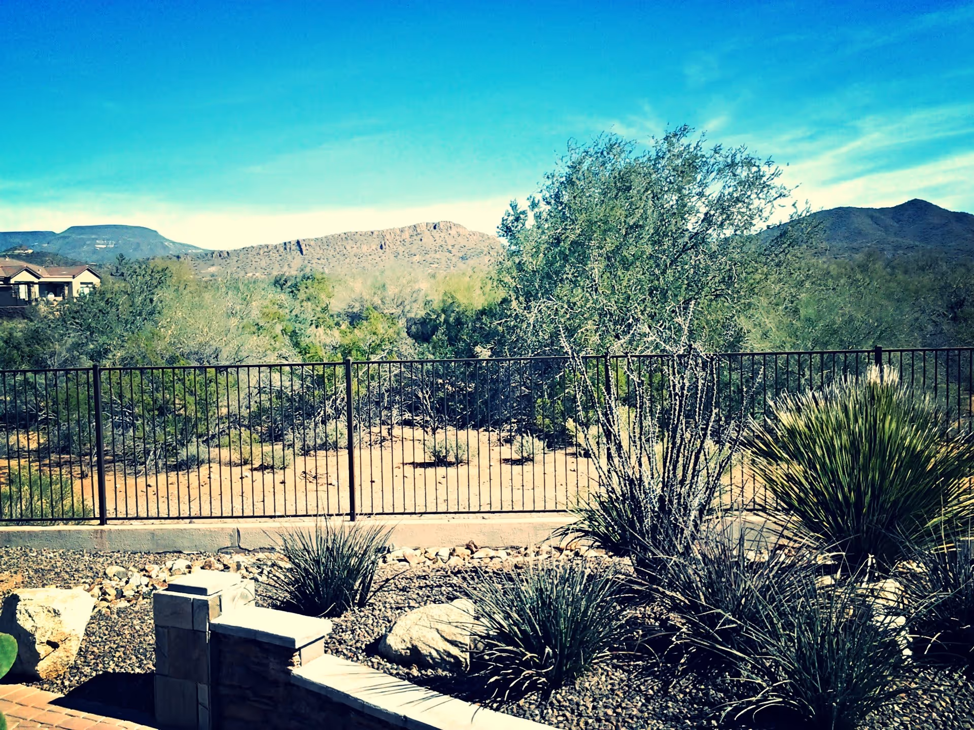 Outdoor view of a fenced garden area with desert plants and shrubs, with mountains and a clear blue sky in the background.