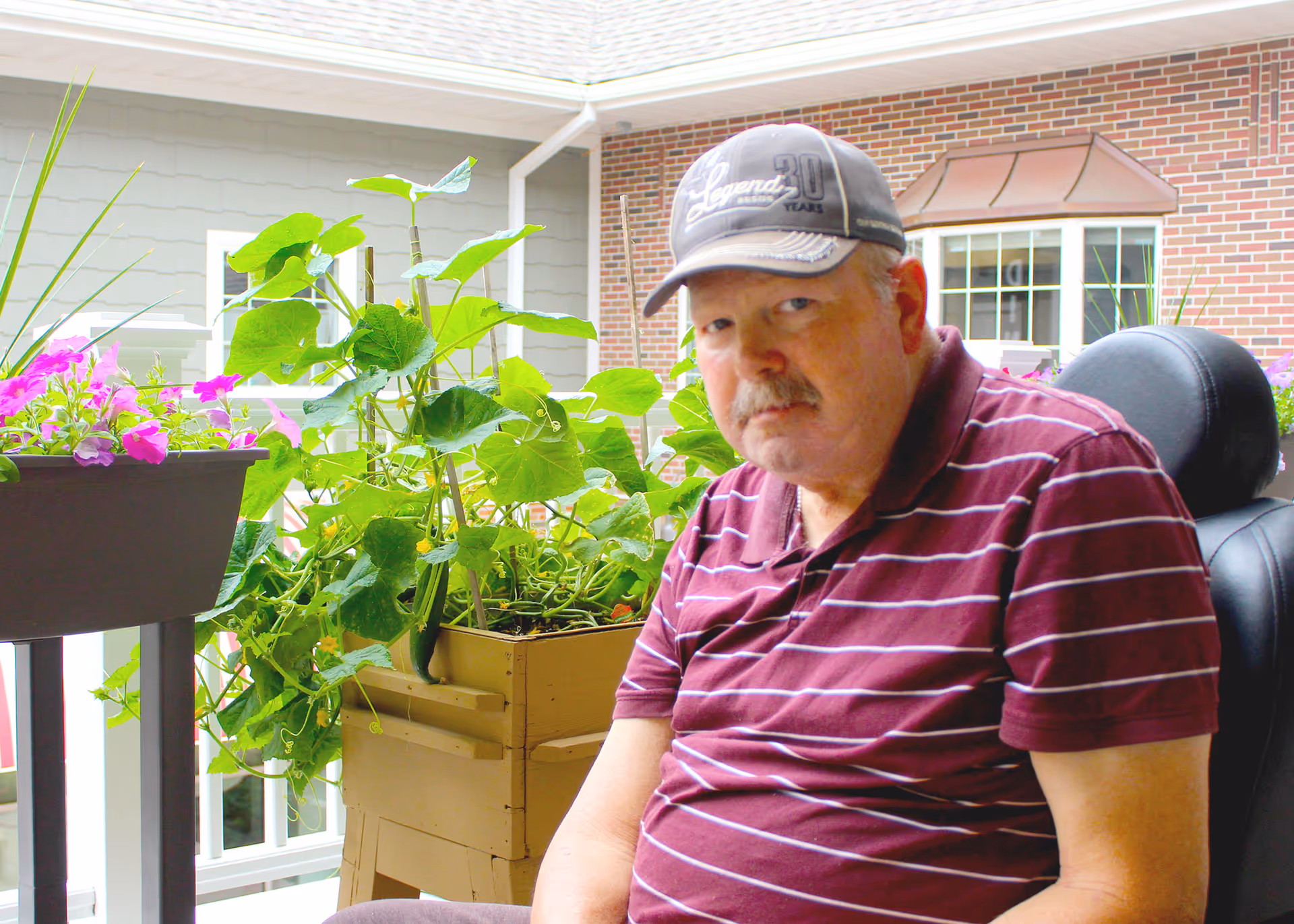 An elderly man wearing a striped maroon polo shirt and a gray cap sits on a black chair on a patio with green plants and purple flowers in the background. The setting includes a brick wall and windows of a building.