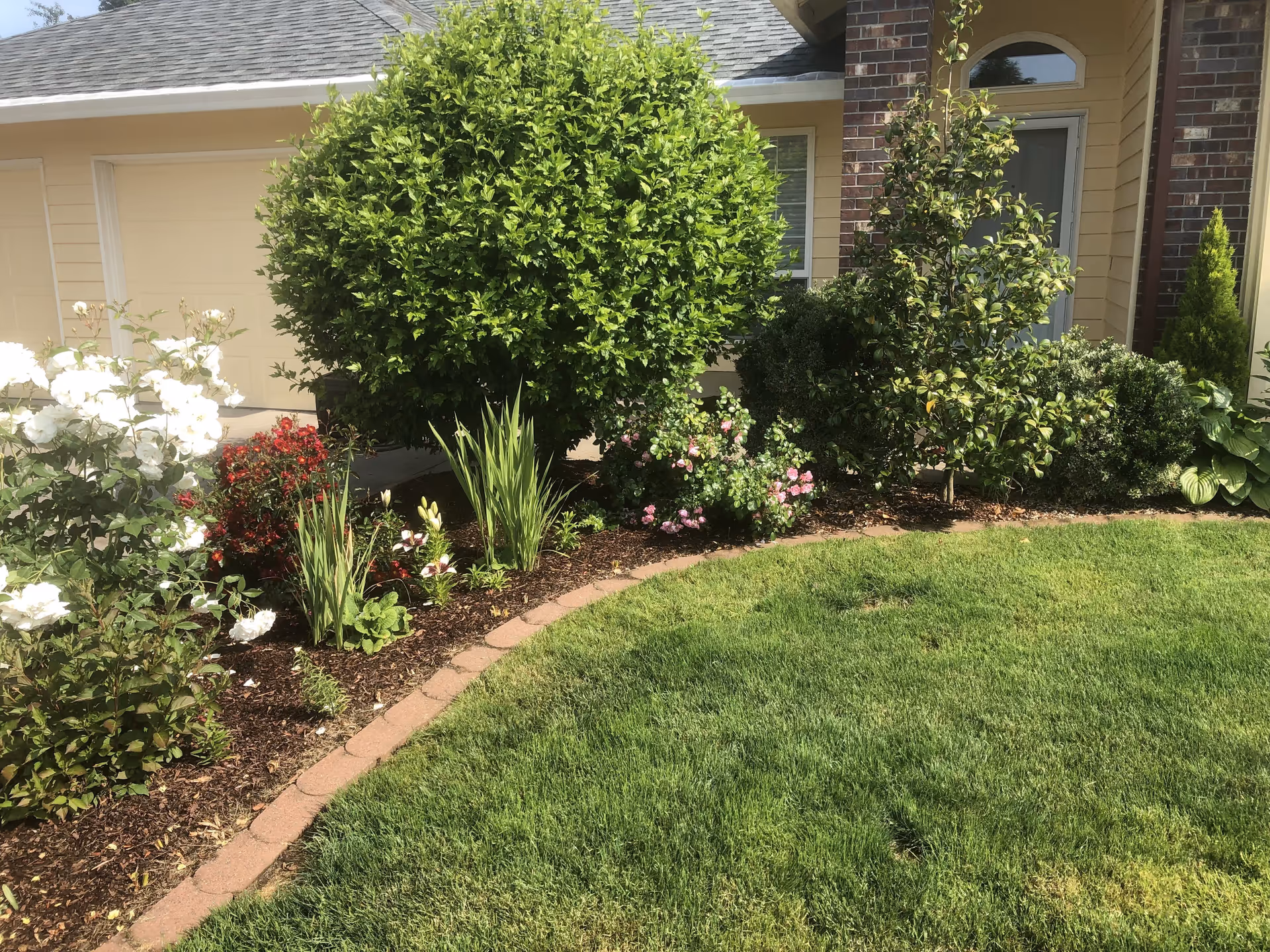 A well-maintained garden area in front of a residential building featuring a variety of green shrubs, flowering plants with white, red, and pink blooms, a neatly trimmed lawn, and a brick-edged flower bed. The building has a brick and siding exterior with a visible window and door.