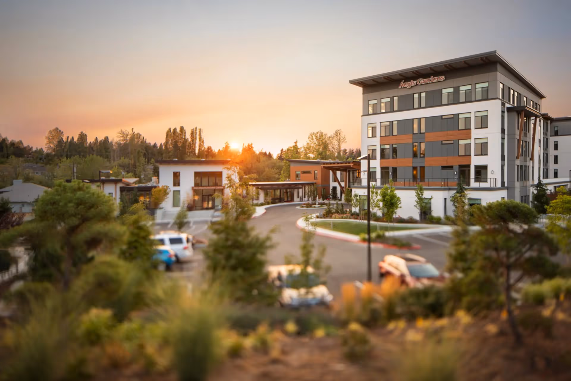 Exterior view of Aegis Gardens Newcastle facility at sunset, showing a modern multi-story building with large windows, a smaller building labeled 'Sun Room Cultural Center,' a driveway, parked cars, and landscaped greenery in the foreground.