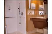 A bathroom with a walk-in shower featuring a handheld showerhead and grab bars, a sink with a large mirror above it, and wall-mounted soap and paper towel dispensers.