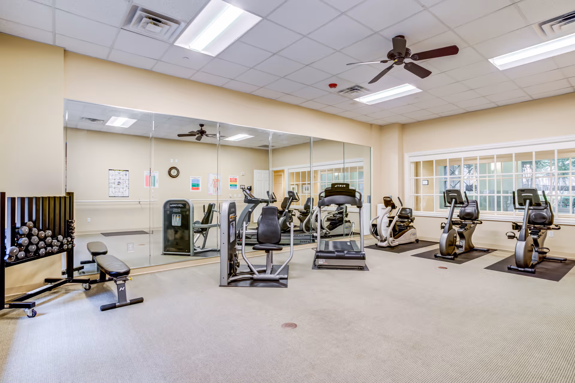 A fitness room in The Village of Tanglewood featuring exercise equipment including a treadmill, stationary bikes, a weight bench with dumbbells, and a multi-use exercise machine. The room has large mirrors on one wall, beige walls, carpeted floor, ceiling fans, and fluorescent lighting. There are windows on one side letting in natural light.