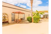 Sunny courtyard with a patio table and umbrella, chairs, palm tree and shrubs beside a low building.