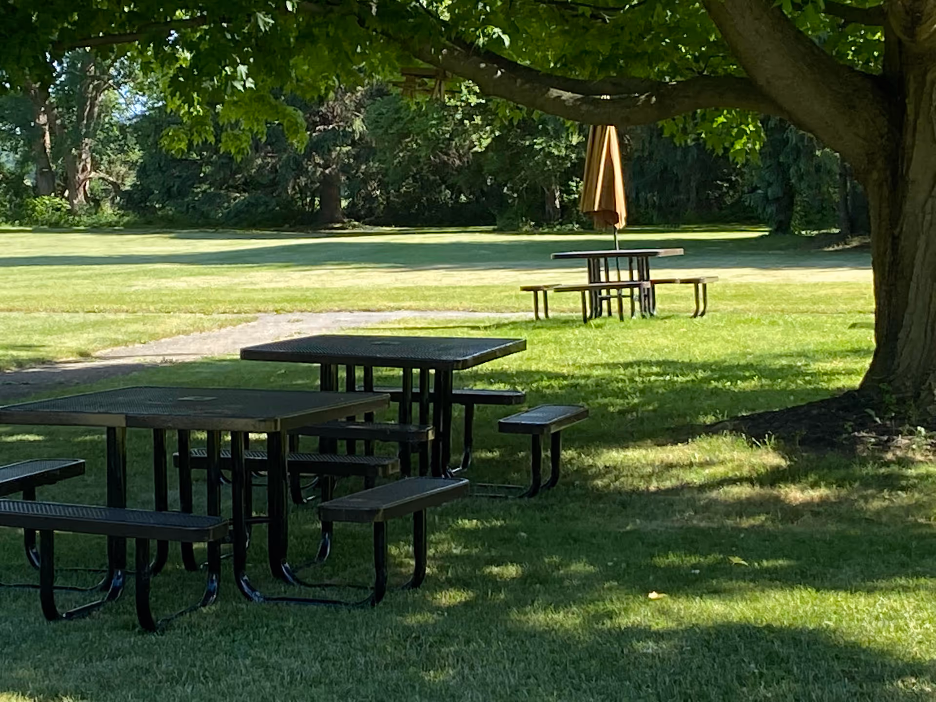Shaded picnic tables and benches on a grassy lawn with trees and a distant table with an umbrella.