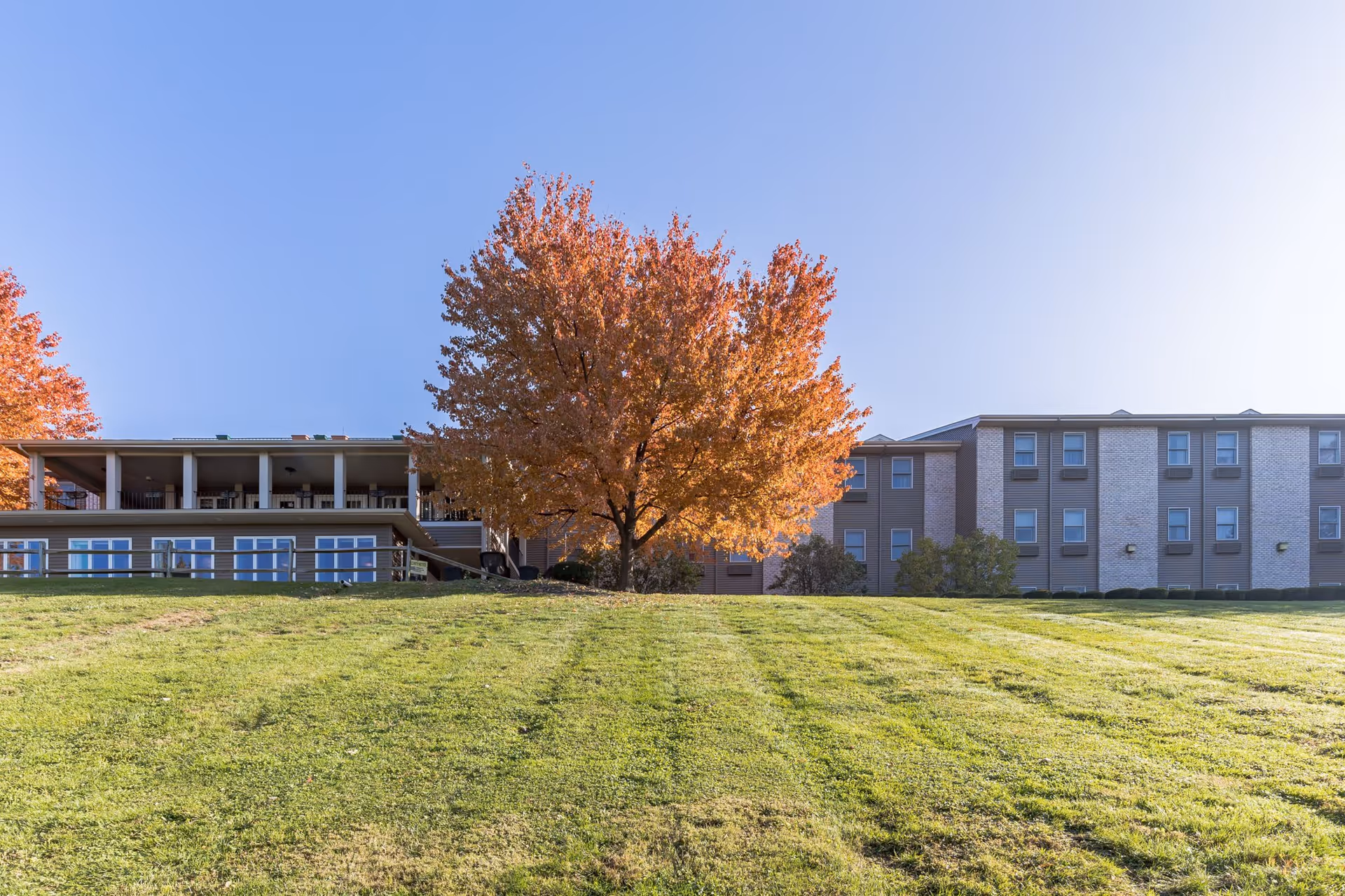 A senior living facility building with a large green lawn in the foreground and a tree with orange autumn leaves in the center. The building has multiple windows and a covered patio area on the left side under a clear blue sky.