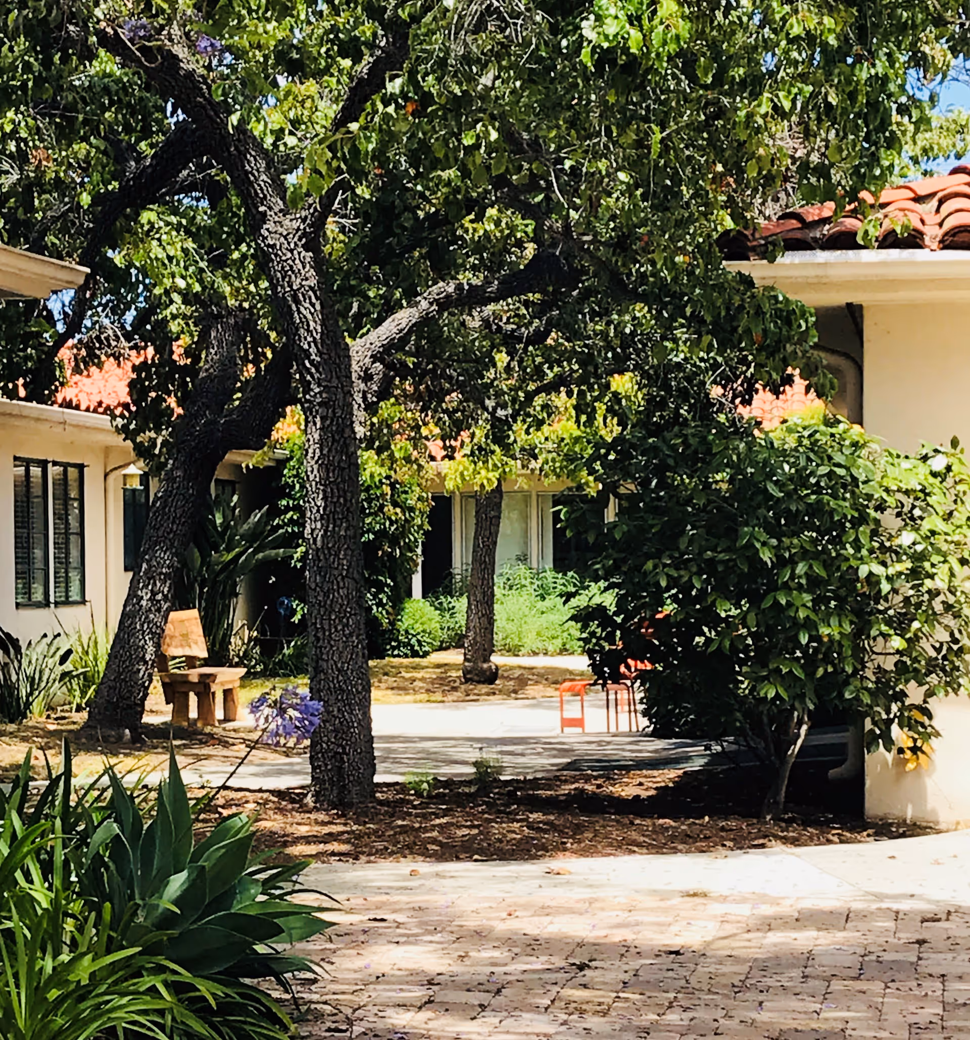 Outdoor courtyard area with trees, bushes, and plants surrounding a paved walkway. There are buildings with red tile roofs and windows visible in the background, along with a wooden bench and a red chair.