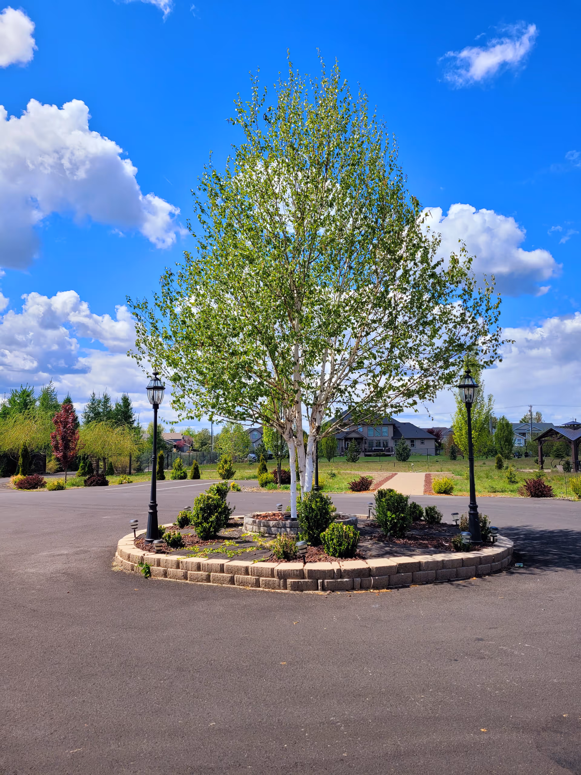 A landscaped circular garden bed with a tall leafy tree in the center, surrounded by small bushes and two black lamp posts. The garden bed is bordered by stone bricks and is situated in the middle of a paved area. In the background, there are houses, green lawns, and a partly cloudy blue sky.