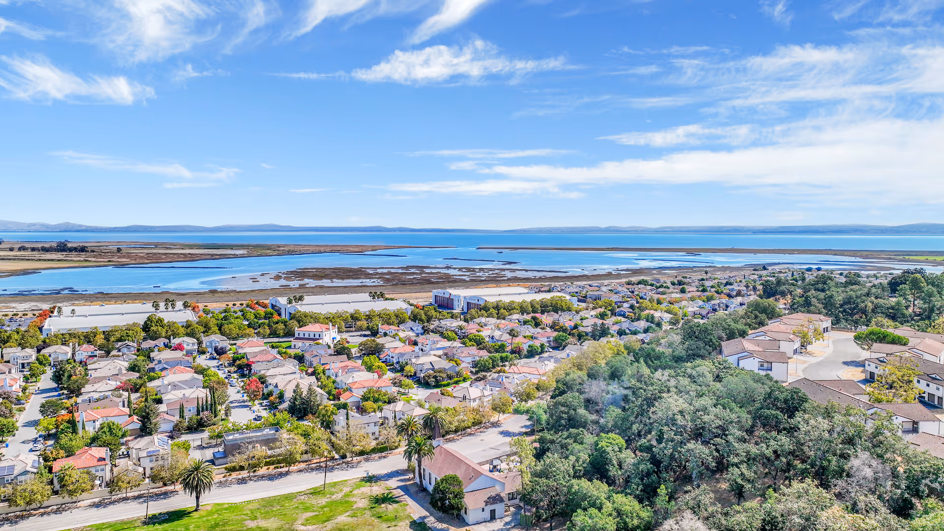 Aerial view of a residential area near a large body of water with houses, trees, and greenery under a partly cloudy blue sky.