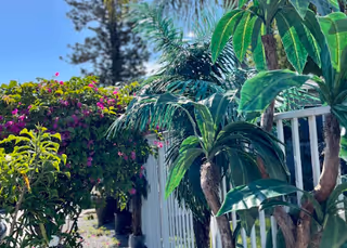 A sunny outdoor garden area with various green plants and colorful flowers next to a white fence under a clear blue sky.