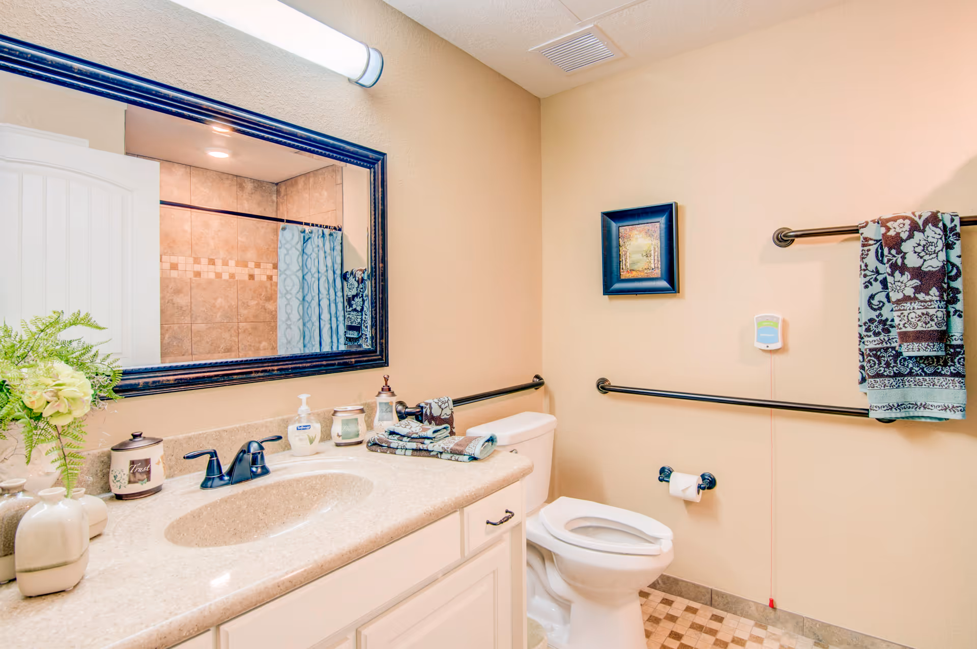 A clean and well-lit bathroom with a beige countertop and sink, a large mirror with a dark frame, a toilet with safety grab bars on the walls, a towel rack with a patterned towel, a small framed picture on the wall, and various decorative items on the countertop including a plant and soap dispenser.