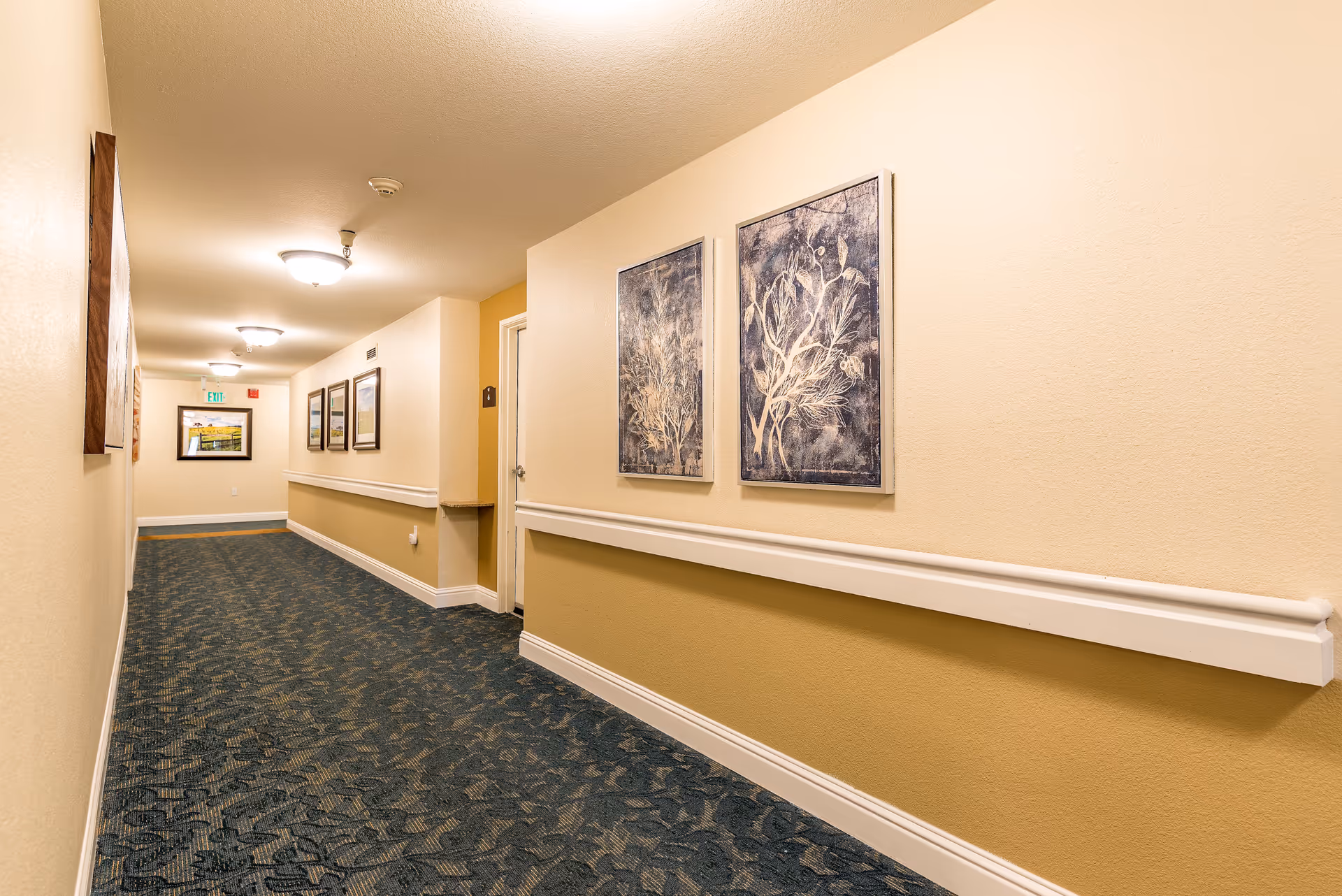 Carpeted interior hallway with wall-mounted handrails, framed artwork, ceiling lights, and a distant exit sign.