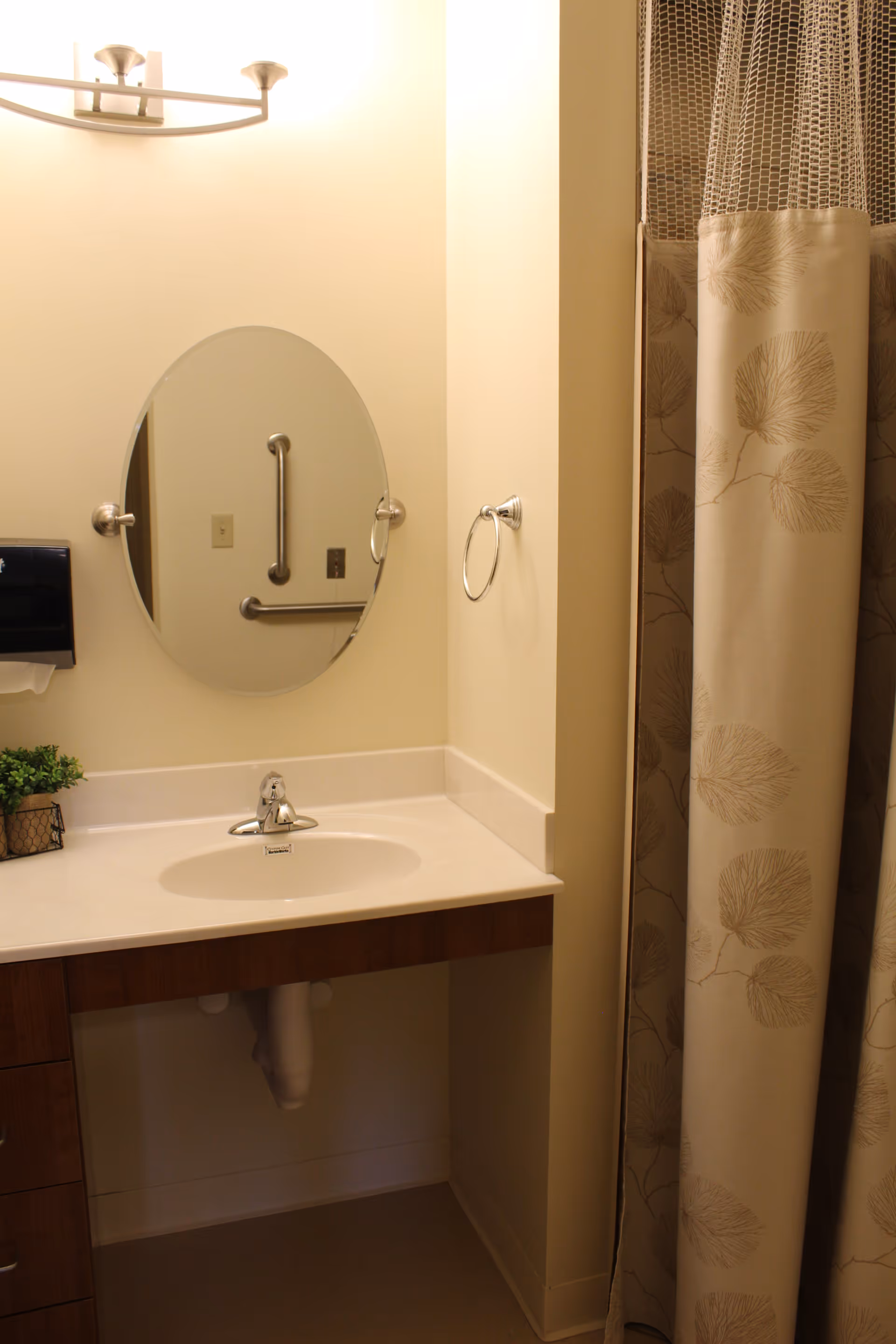 A bathroom sink area with a round mirror above it, a silver faucet, a towel ring on the wall, a small green plant on the counter, and a shower curtain with a leaf pattern to the right.
