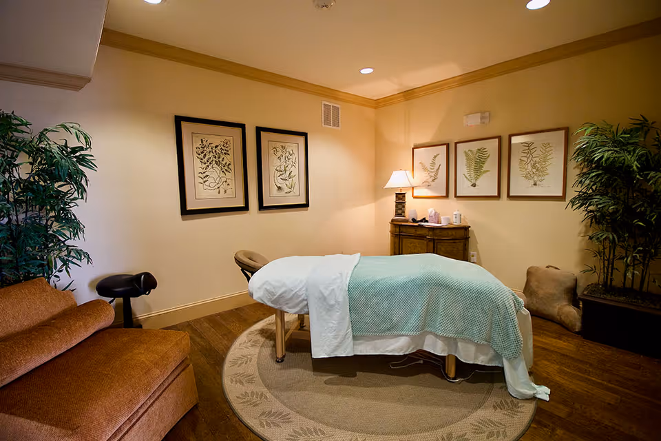 A cozy massage or therapy room with a massage table covered in a white sheet and a light green blanket. The room has warm lighting, framed botanical prints on the walls, a small wooden cabinet with a lamp and supplies, a brown cushioned chair, and two large potted plants in the corners.