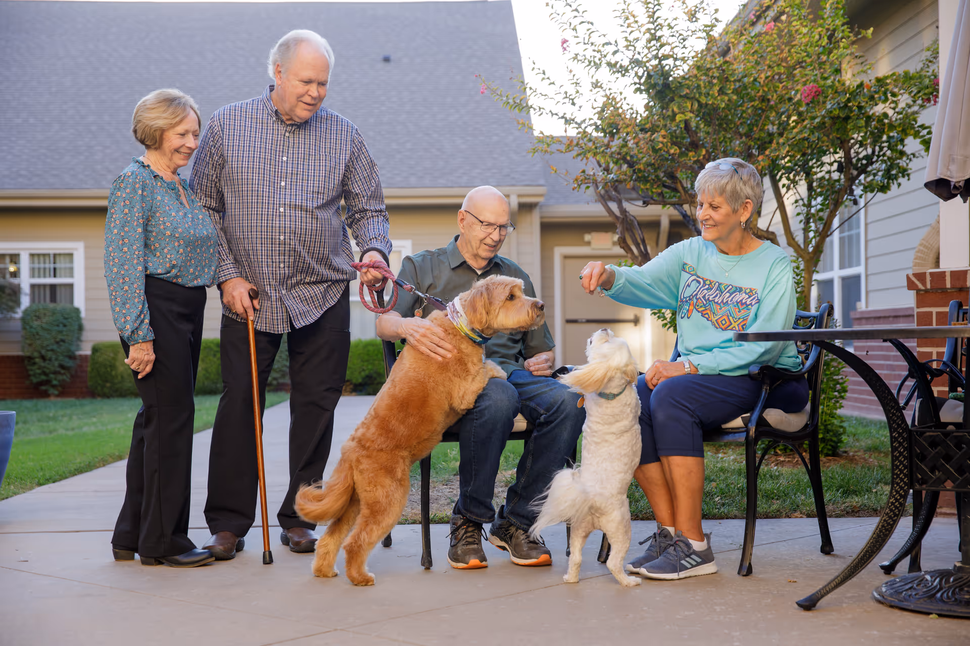 Four elderly people enjoying time outside at a senior living facility. Two are standing, one man holding a walking cane and a dog leash with a large brown dog, and a woman standing beside him. Another man is sitting on a chair petting the brown dog, while a woman sitting on another chair is interacting with a small white dog standing on its hind legs. They are in a courtyard area with greenery and buildings in the background.