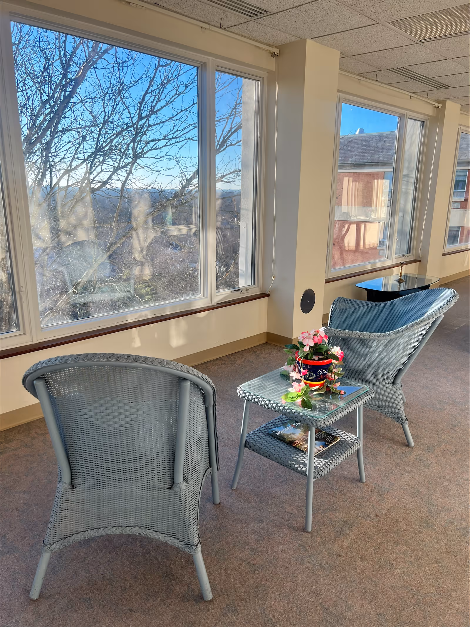 A sunlit indoor seating area with two gray wicker chairs and a matching wicker side table holding a colorful flower pot with pink flowers. Large windows line the wall, showing a view of bare tree branches and a building outside under a clear blue sky.