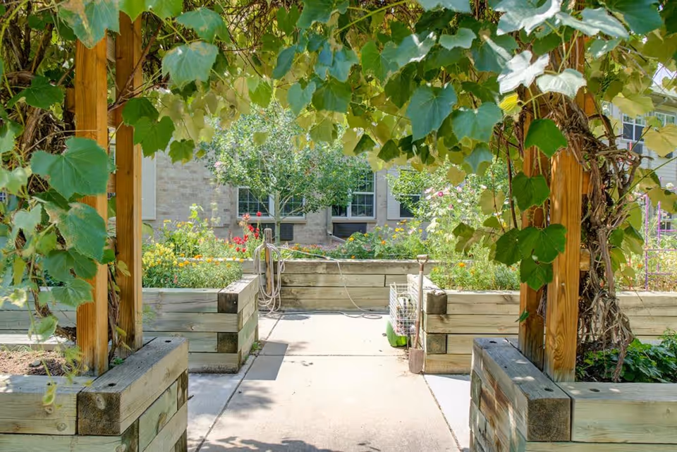 A garden area with wooden raised beds filled with various green plants and flowers. There is a wooden pergola structure with leafy vines growing on it, providing shade over a concrete pathway. In the background, a building with windows is visible.
