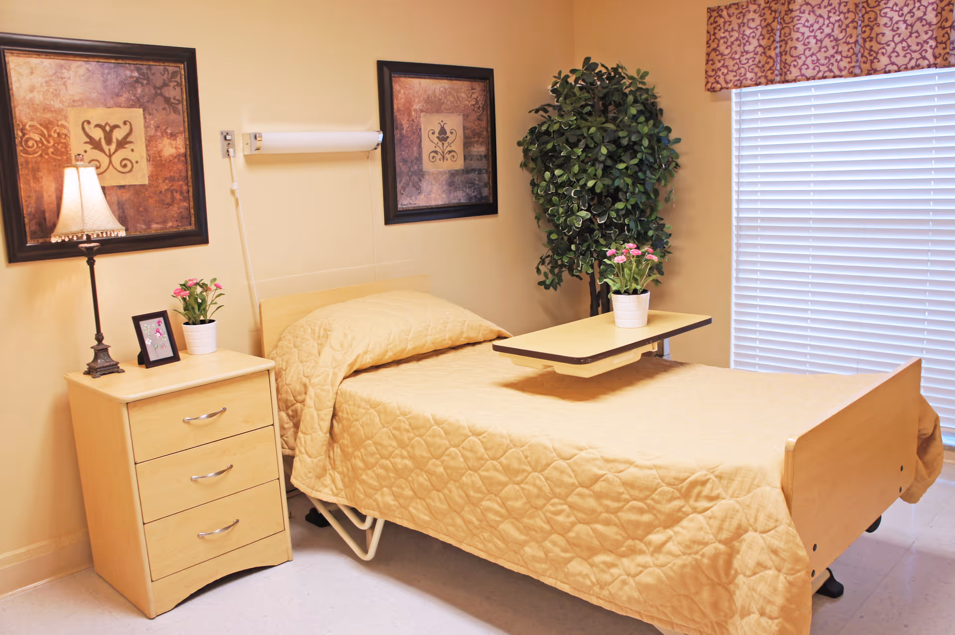 A neatly made single bed with a bedside table, lamp, wall art, and potted plants in a senior living bedroom.