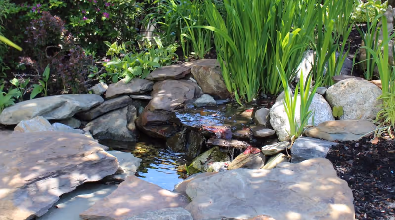A small landscaped garden pond surrounded by flat stones, boulders and tall green plants.