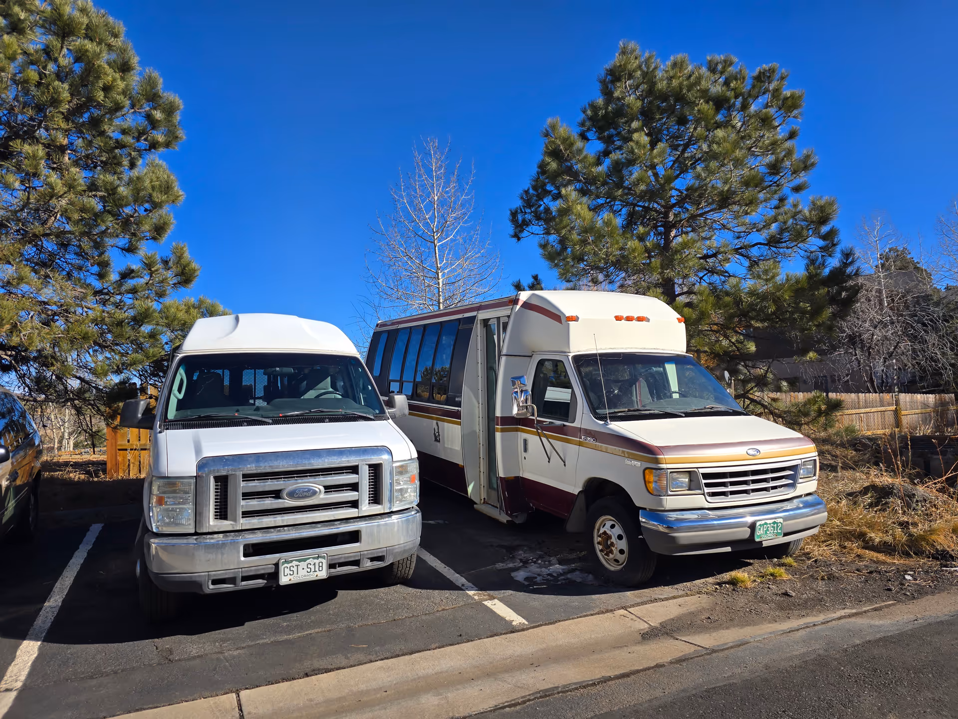 Two shuttle vans parked side-by-side in a lot beside pine trees under a clear blue sky.