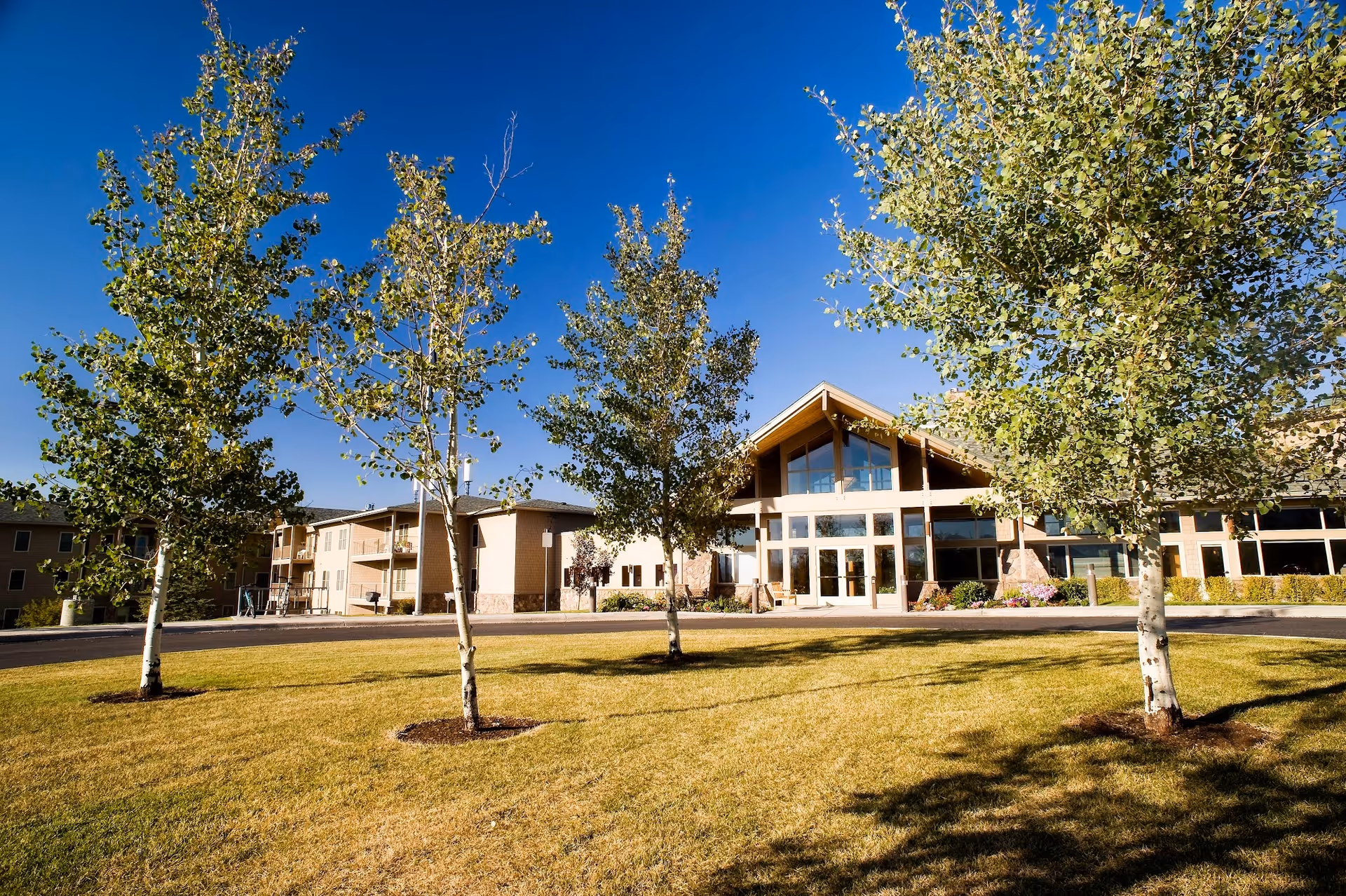 Exterior view of Bozeman Health Hillcrest Senior Living, Birchwood facility showing a modern building with large windows and a peaked roof, surrounded by a well-maintained lawn and several young trees under a clear blue sky.