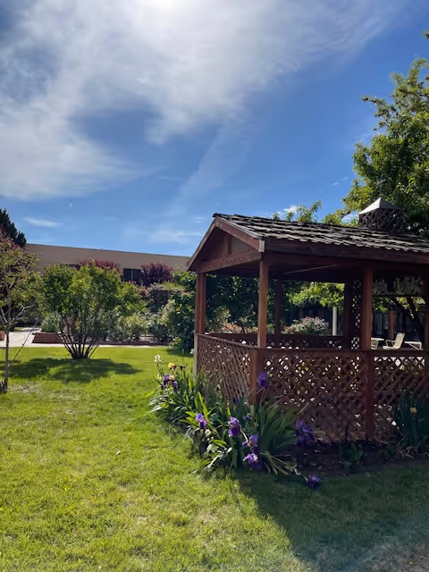 A sunny outdoor garden area with a wooden gazebo surrounded by green grass, flowering plants, and trees under a blue sky with some clouds.