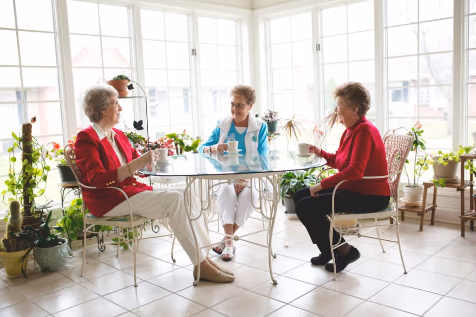 Three elderly women sitting around a glass-top table in a bright sunroom with large windows and many potted plants, each holding a cup and engaging in conversation.