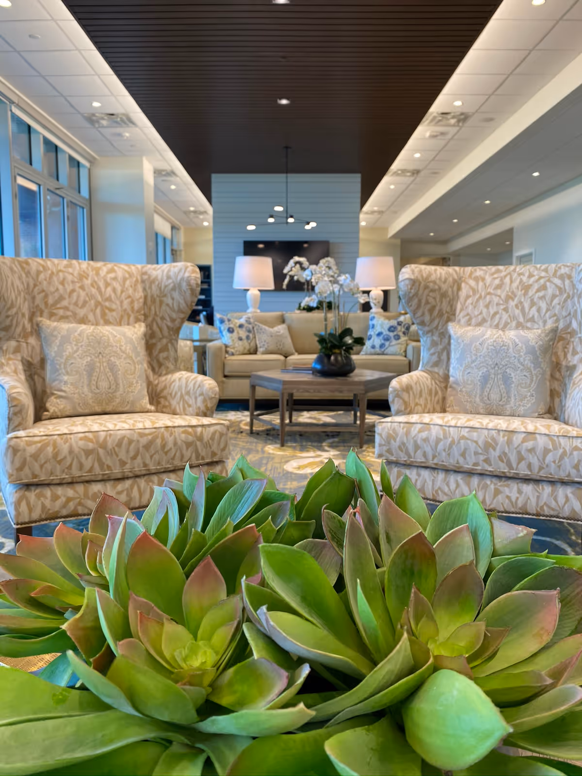 Bright lounge area with patterned wingback chairs, a sofa, lamps, a coffee table, and a foreground arrangement of green succulent plants.