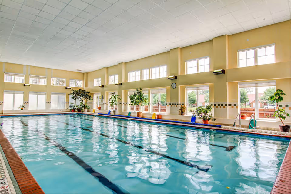 Bright indoor swimming pool with lanes, large windows, and potted plants along the side.