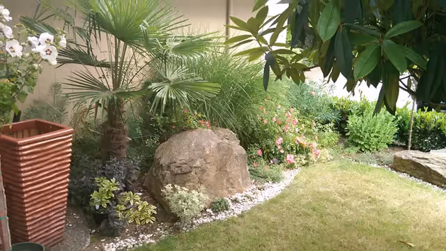 A garden area with a variety of plants including palm trees, flowering bushes, and leafy shrubs. There is a large rock in the center surrounded by small white stones, a tall brown planter on the left, and a grassy lawn on the right.