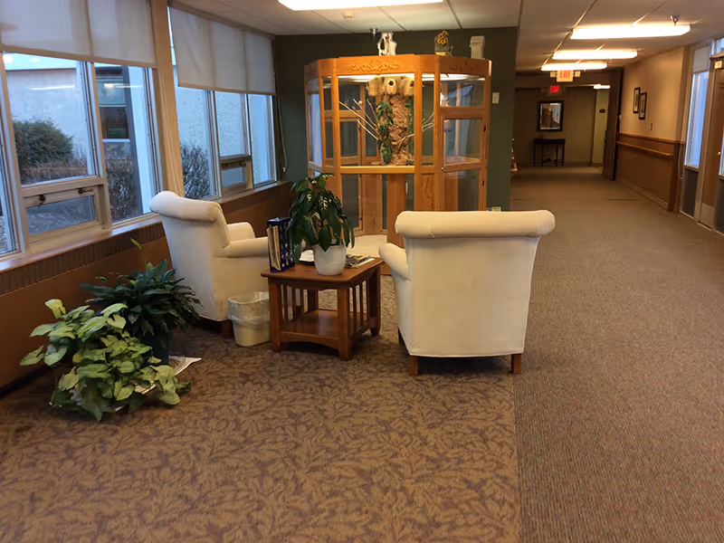 A quiet hallway in a senior living facility with two beige armchairs and a small wooden table with a potted plant between them. There are large windows on the left side with blinds partially drawn, and several green plants on the floor near the chairs. At the end of the hallway, there is a wooden display case with a taxidermy owl inside. The hallway is carpeted and well-lit with ceiling lights.