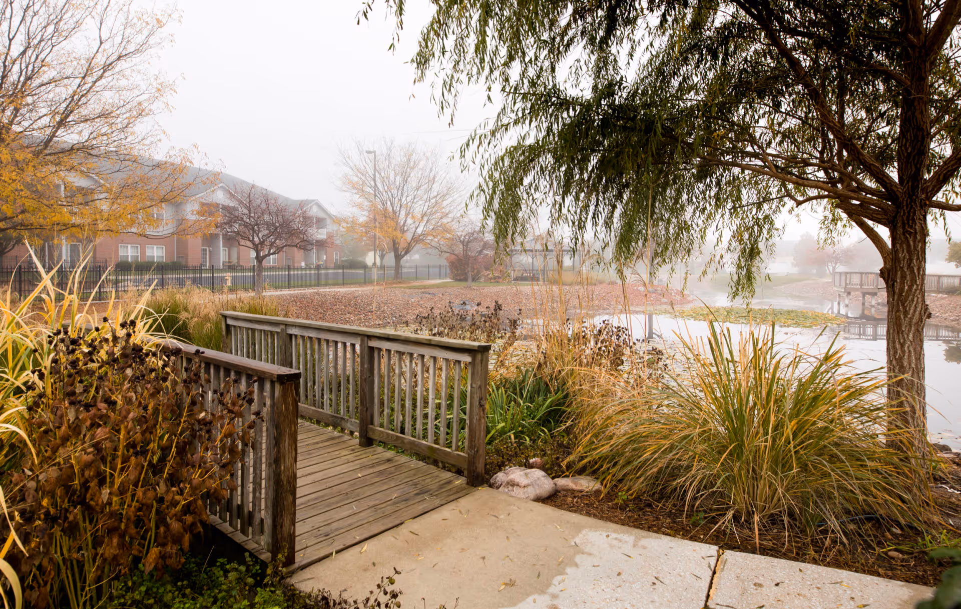 Foggy outdoor scene of a pond and landscaped grounds with a small wooden footbridge and residential buildings in the background.