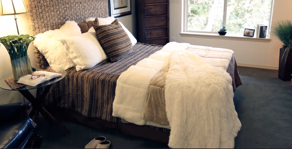 Sunlit bedroom with a made bed dressed in pillows and a plush throw, a side table with a lamp, and a window.
