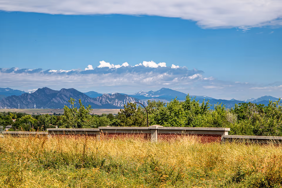 View of a natural landscape with tall grass and green trees in the foreground, a low brick wall, and a mountain range under a partly cloudy blue sky in the background.