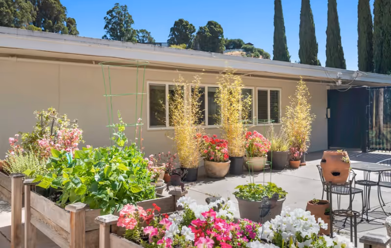Outdoor patio area with raised garden beds filled with green plants and colorful flowers. Several potted plants line the wall of a single-story building with windows. There are metal chairs and a table on the concrete patio. Tall trees are visible in the background under a clear blue sky.