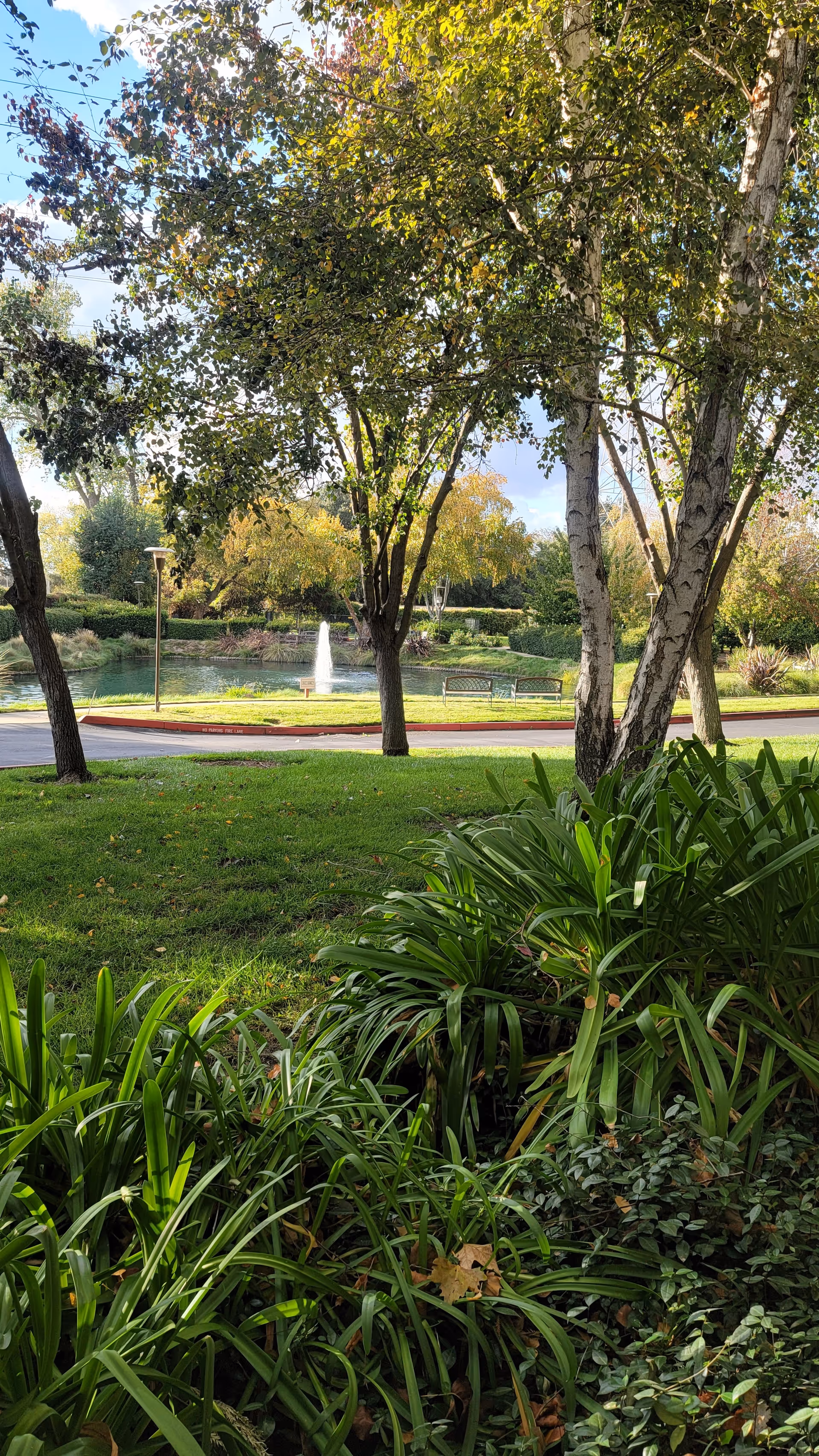 View of a landscaped pond with a fountain, benches, trees, and grassy foreground in a park-like setting.