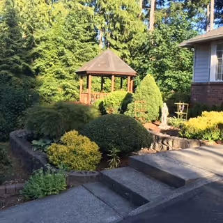 A landscaped outdoor garden area with various green shrubs and bushes, a small wooden gazebo in the background, and part of a building with a window on the right side. Concrete steps lead up to the garden area.