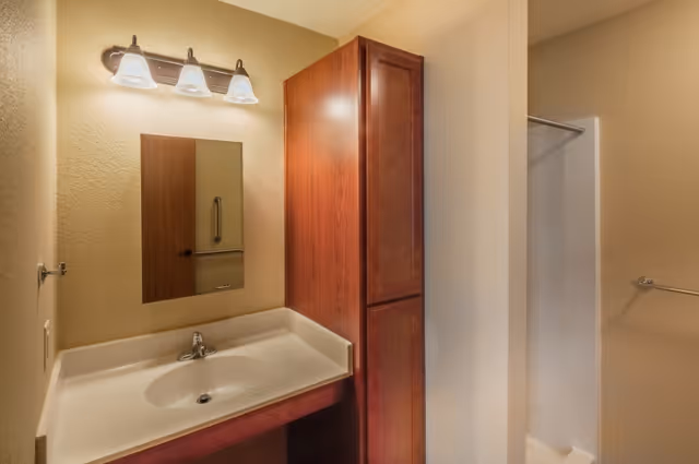 A bathroom vanity area with a white sink, a rectangular mirror above it, and a three-light fixture mounted on the wall. To the right of the sink is a tall wooden cabinet, and further right is a shower stall with a metal grab bar and a towel rack on the wall.