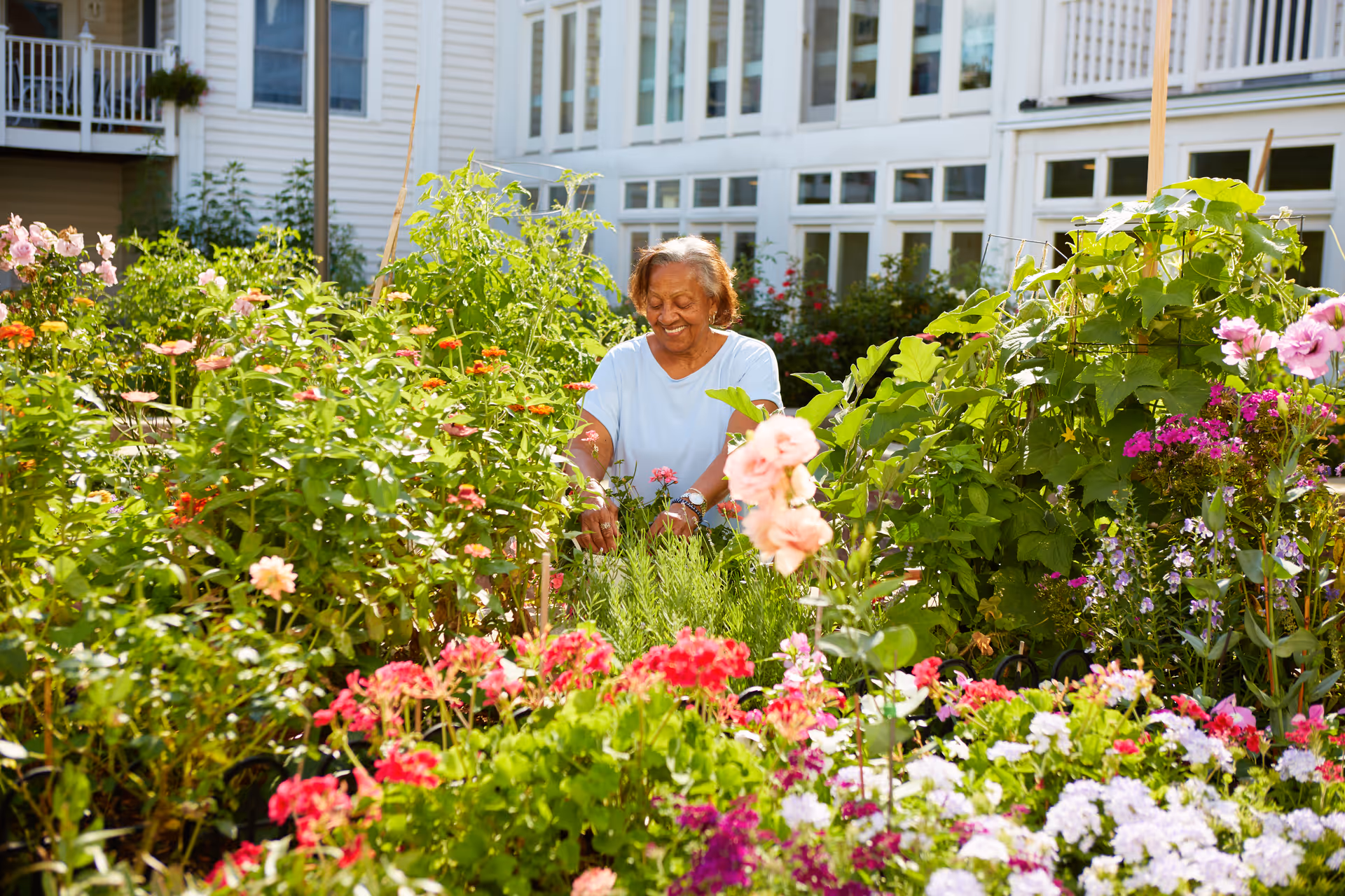 An elderly woman tending to a vibrant garden full of various colorful flowers and green plants outside a white building with multiple windows.