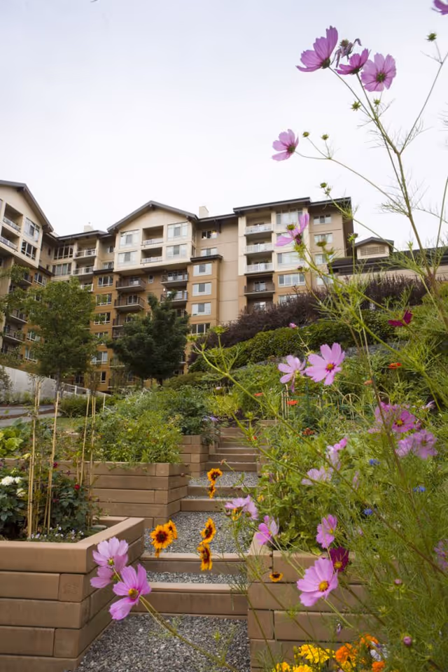 View of a multi-story senior living facility building with balconies, seen from a garden area with raised flower beds and blooming pink and yellow flowers in the foreground.