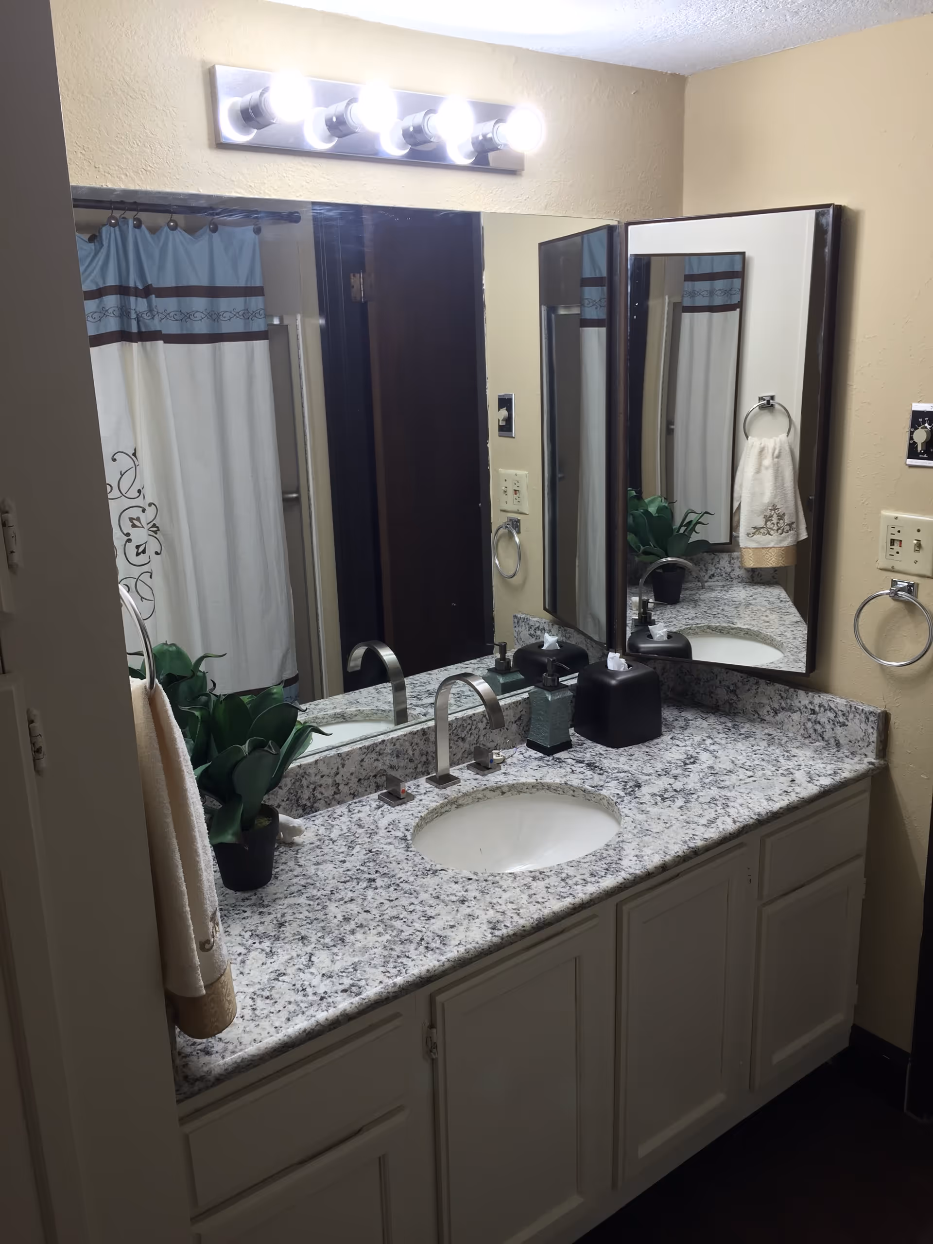 Bathroom vanity with a granite countertop, an oval sink, modern faucet, a soap dispenser, a tissue box, a small potted plant, and a hand towel hanging on a ring. Above the vanity is a large mirror with a light fixture containing five bulbs. A shower curtain with a blue and brown design is visible in the reflection.