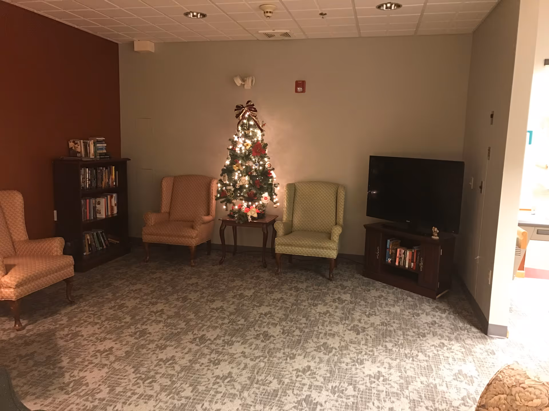 A cozy common sitting area with a decorated Christmas tree between armchairs, a TV on a stand and bookshelves.