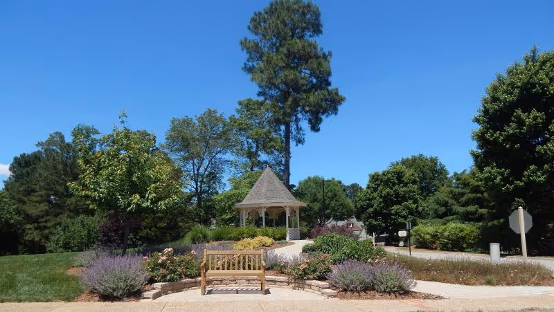 A wooden bench and landscaped path leading to a white gazebo surrounded by trees under a clear blue sky.
