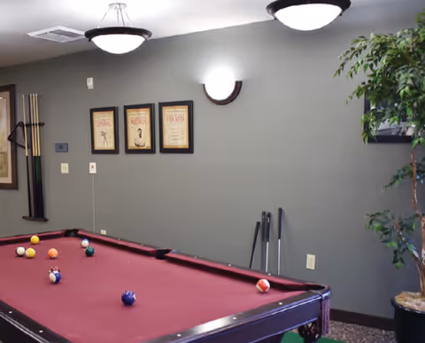 Interior recreation room with a maroon-felt pool table, cues on the wall, framed artwork, ceiling lights, and a potted plant.