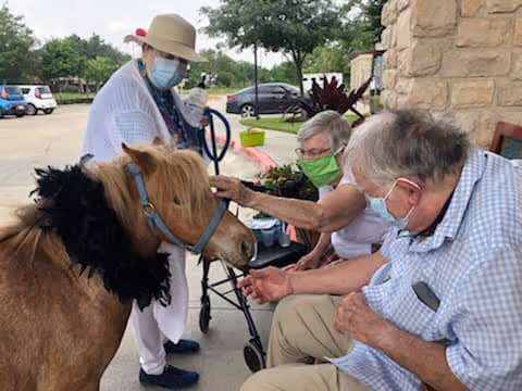 Three elderly individuals wearing face masks interact with a small brown pony outdoors near a stone wall and parked cars. One person is petting the pony while another stands nearby with a walker.