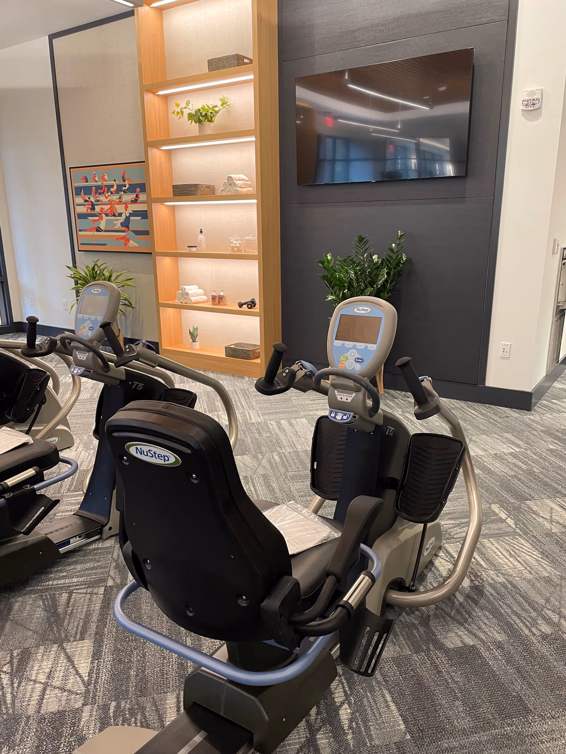 A fitness room with two NuStep exercise machines positioned on a carpeted floor. Behind the machines is a wall-mounted flat-screen TV, a plant, and a built-in wooden shelving unit with decorative items and towels. A colorful framed artwork is visible on the left wall.