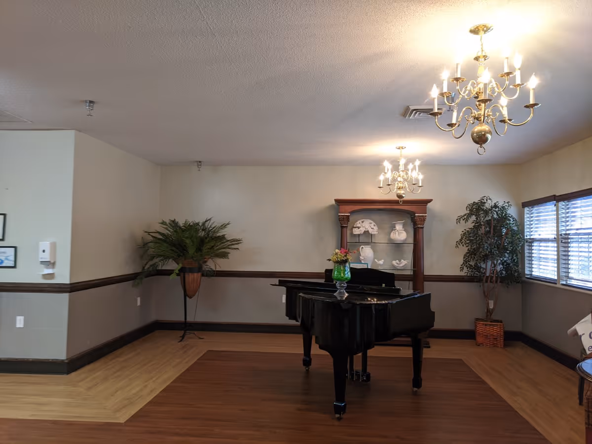 A room with a black grand piano in the center, a wooden display cabinet with white decorative items behind it, two chandeliers hanging from the ceiling, a large potted plant in the corner, and windows with blinds on the right side.