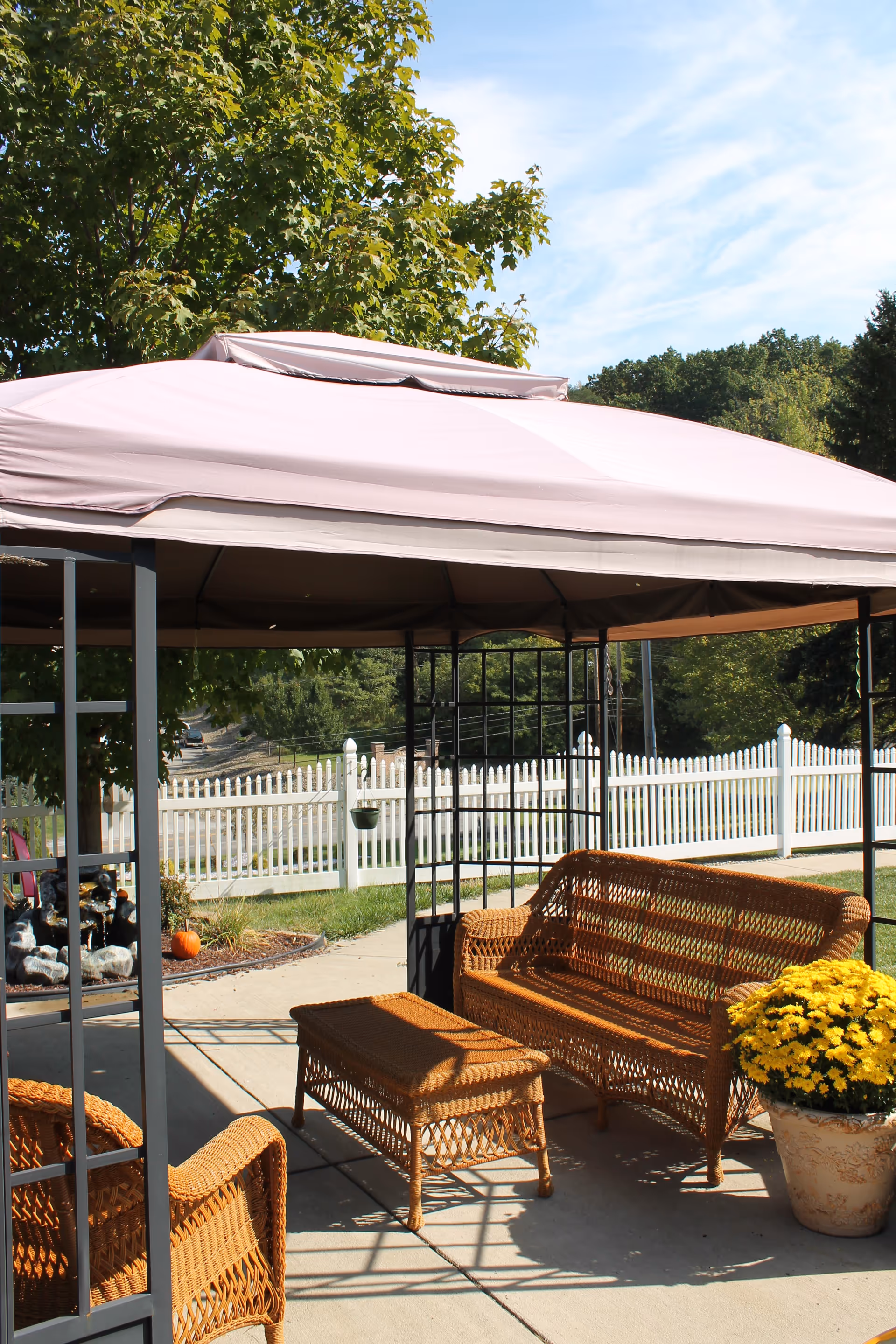 Outdoor seating area under a canopy with wicker furniture including a bench, chair, and table. There is a large potted plant with yellow flowers on the right side and a white picket fence in the background with trees and a clear sky.