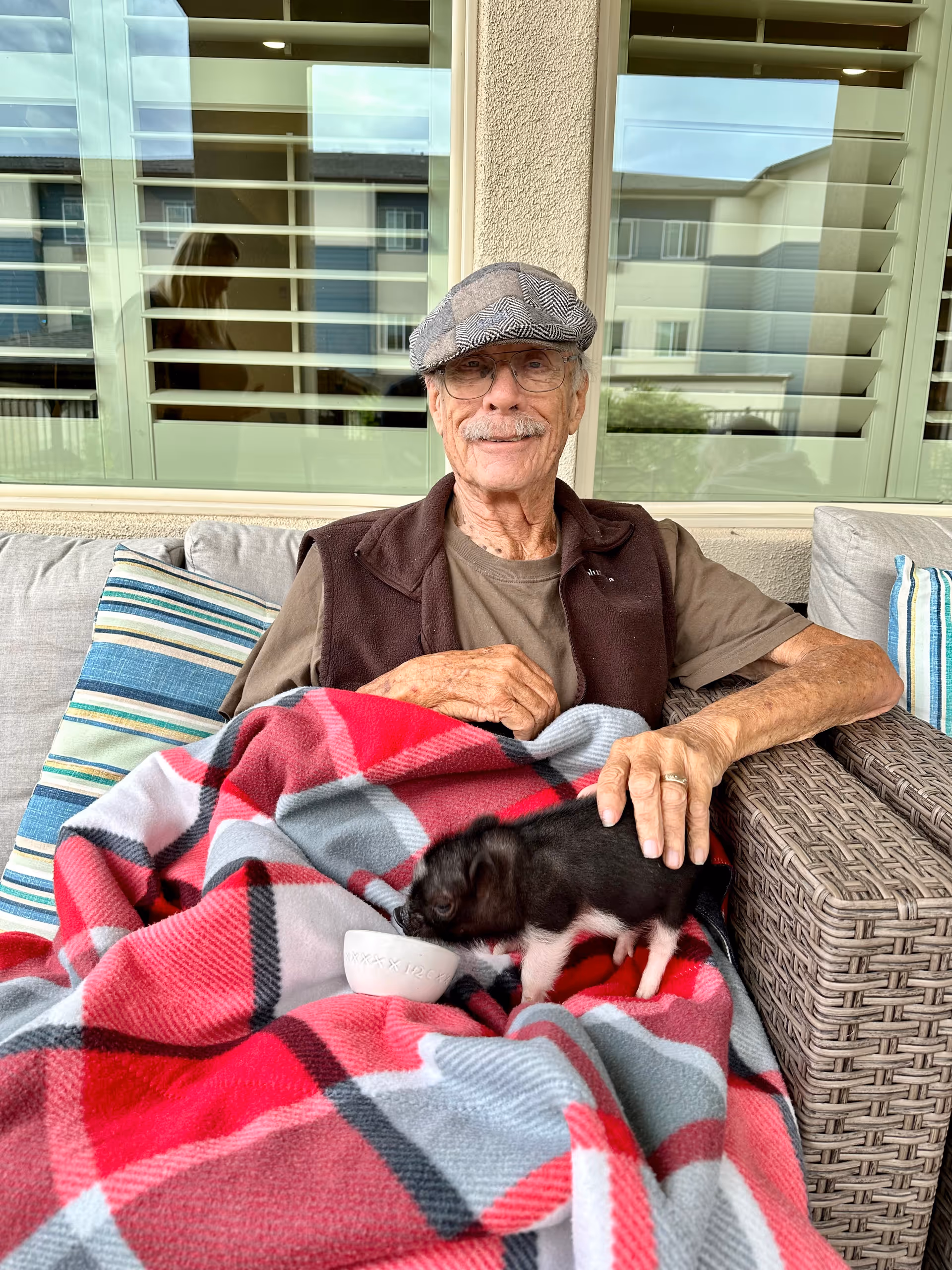 An elderly man wearing a flat cap, glasses, and a brown vest is sitting on a cushioned outdoor sofa with striped pillows. He is covered with a red, gray, and white plaid blanket. A small black and white piglet is on the blanket near his hand, drinking from a small white bowl. Behind him are windows with green shutters reflecting the outdoor surroundings.