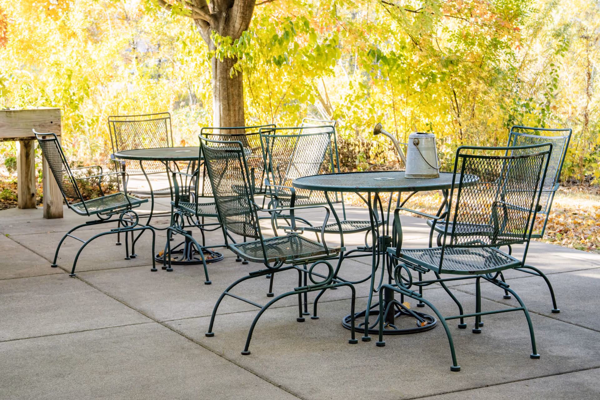 Outdoor patio area with metal tables and chairs on a concrete surface, surrounded by trees with yellow and green leaves. A metal watering can is placed on one of the tables.